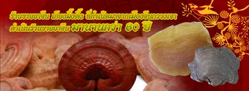 iTopPlus888015406978
