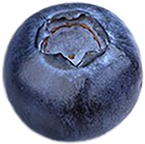 blueberry