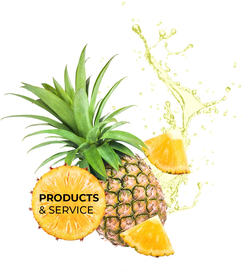 pineapple-Slice-