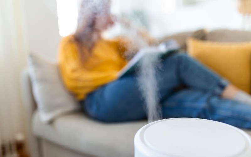 dehumidifier คือ