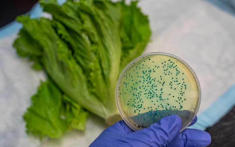 เครื่องลดความชื้นอุตสาหกรรม สำคัญอย่างไร