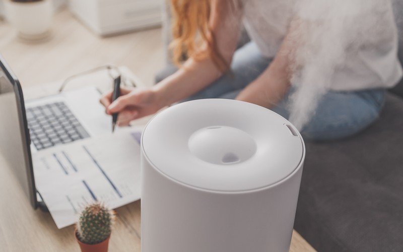 เครื่องทำความชื้น ช่วยอะไร