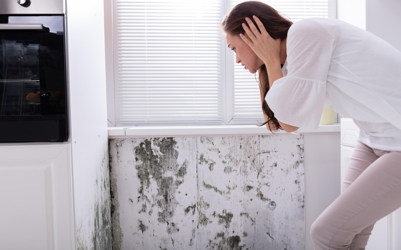 เครื่องทำความชื้นเปิดทั้งคืนได้ไหม