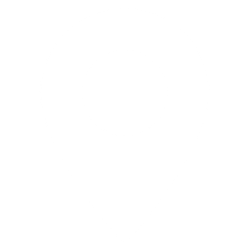 ic-pin03