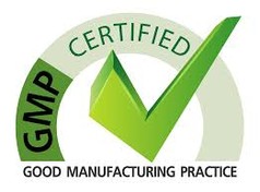gmp