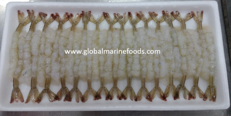 iTopPlus205762181991