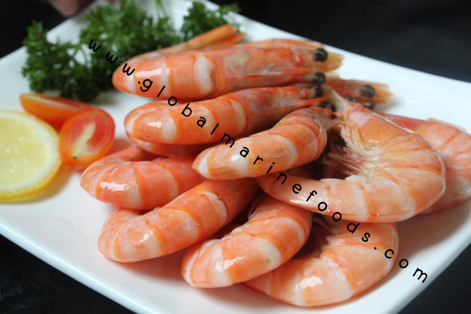 iTopPlus371492688516