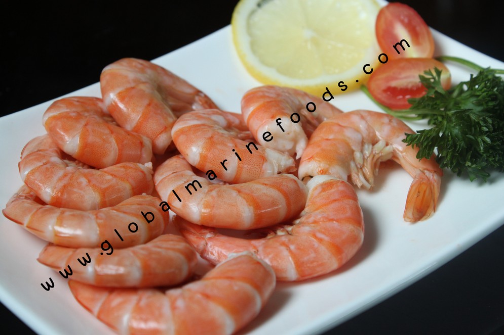 iTopPlus975838626498