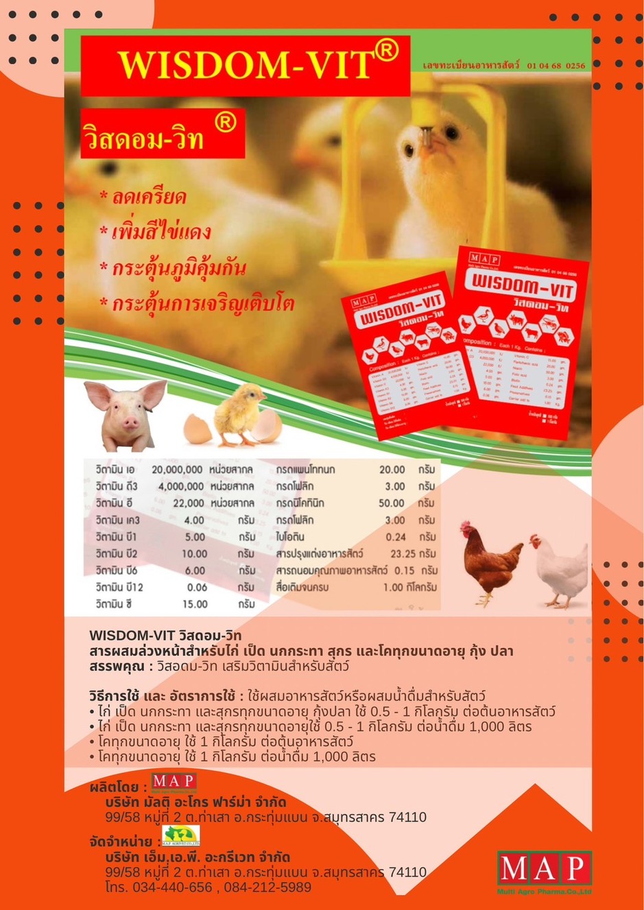โบชัวร์WISDOM-VIT