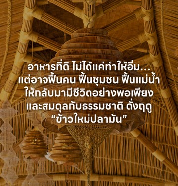 kaomaiplamunampawamobile