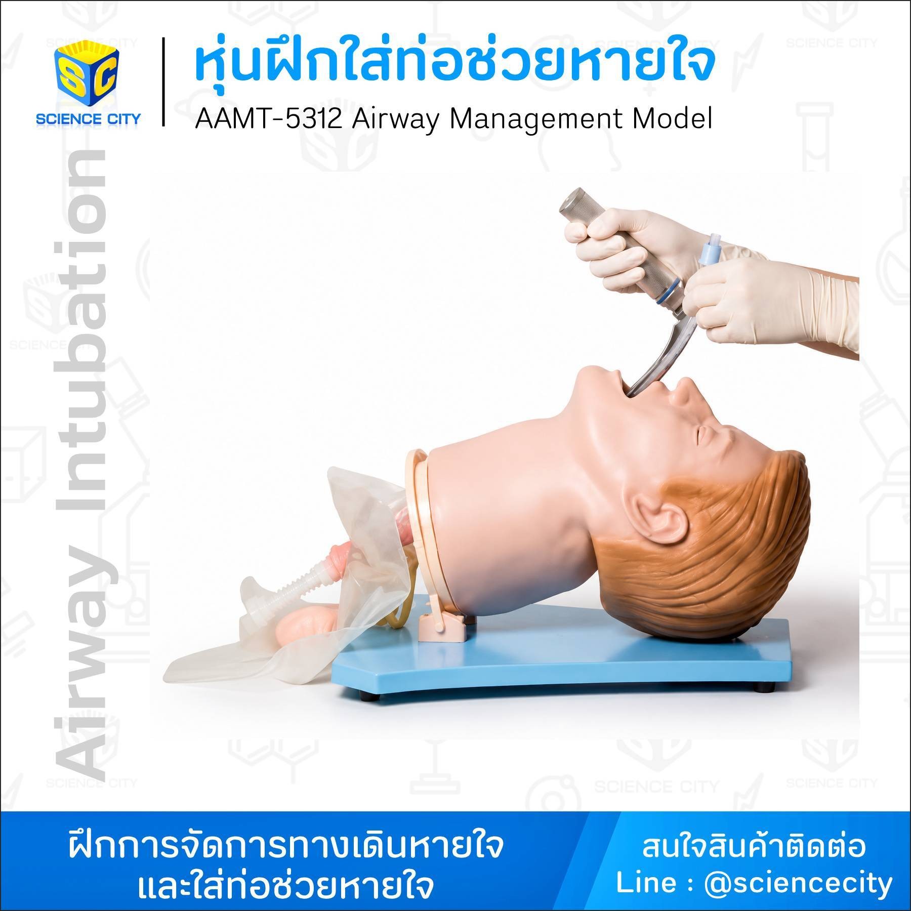 AAMT-5312หุ่นฝึกใส่ท่อช่วยหายใจWL