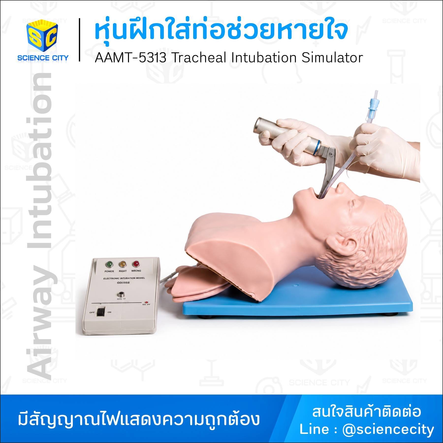 AAMT-5313หุ่นฝึกใส่ท่อช่วยหายใจ(แบบมีสัญญาณไฟ)WL