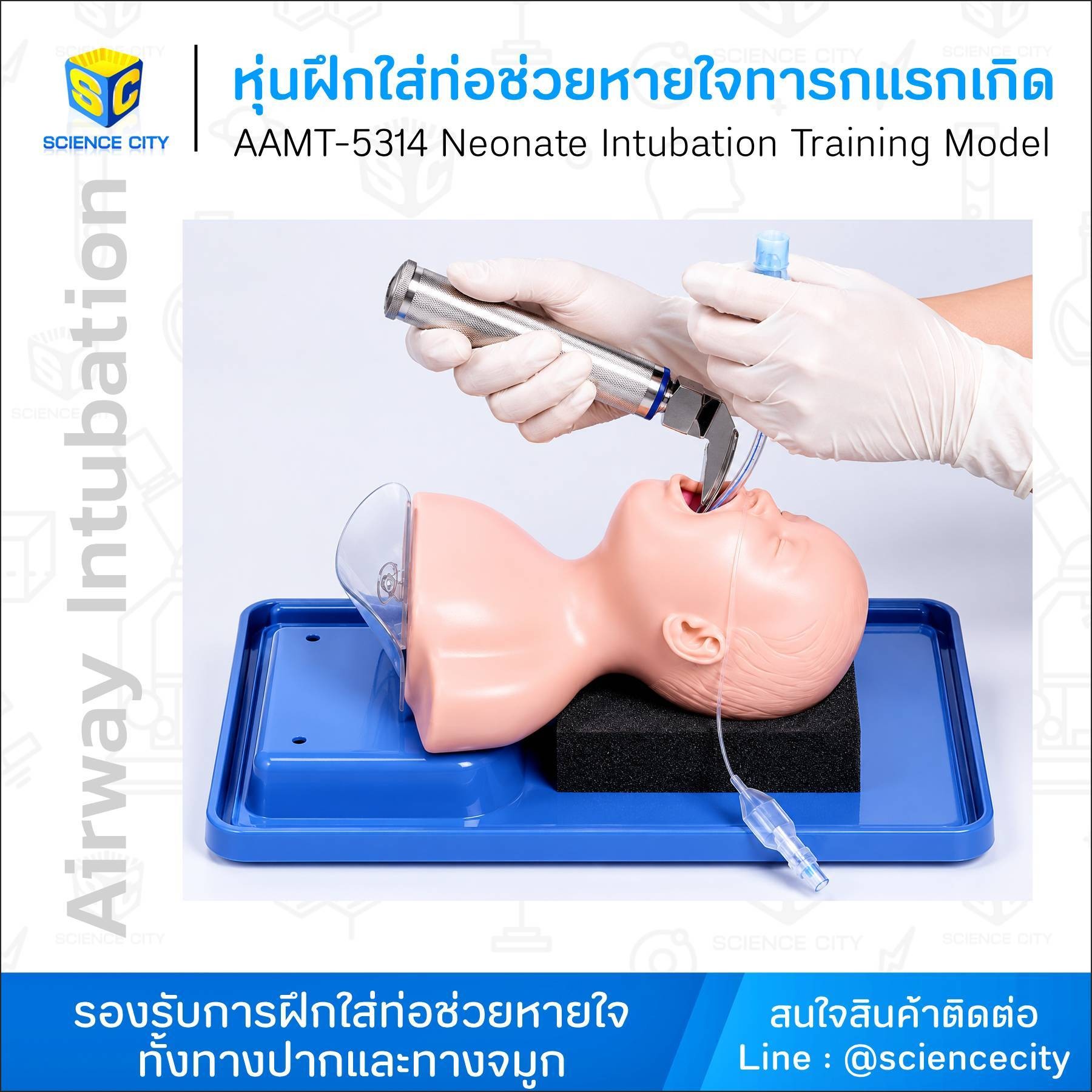 AAMT-5314หุ่นฝึกใส่ท่อช่วยหายใจทารกแรกเกิดWL