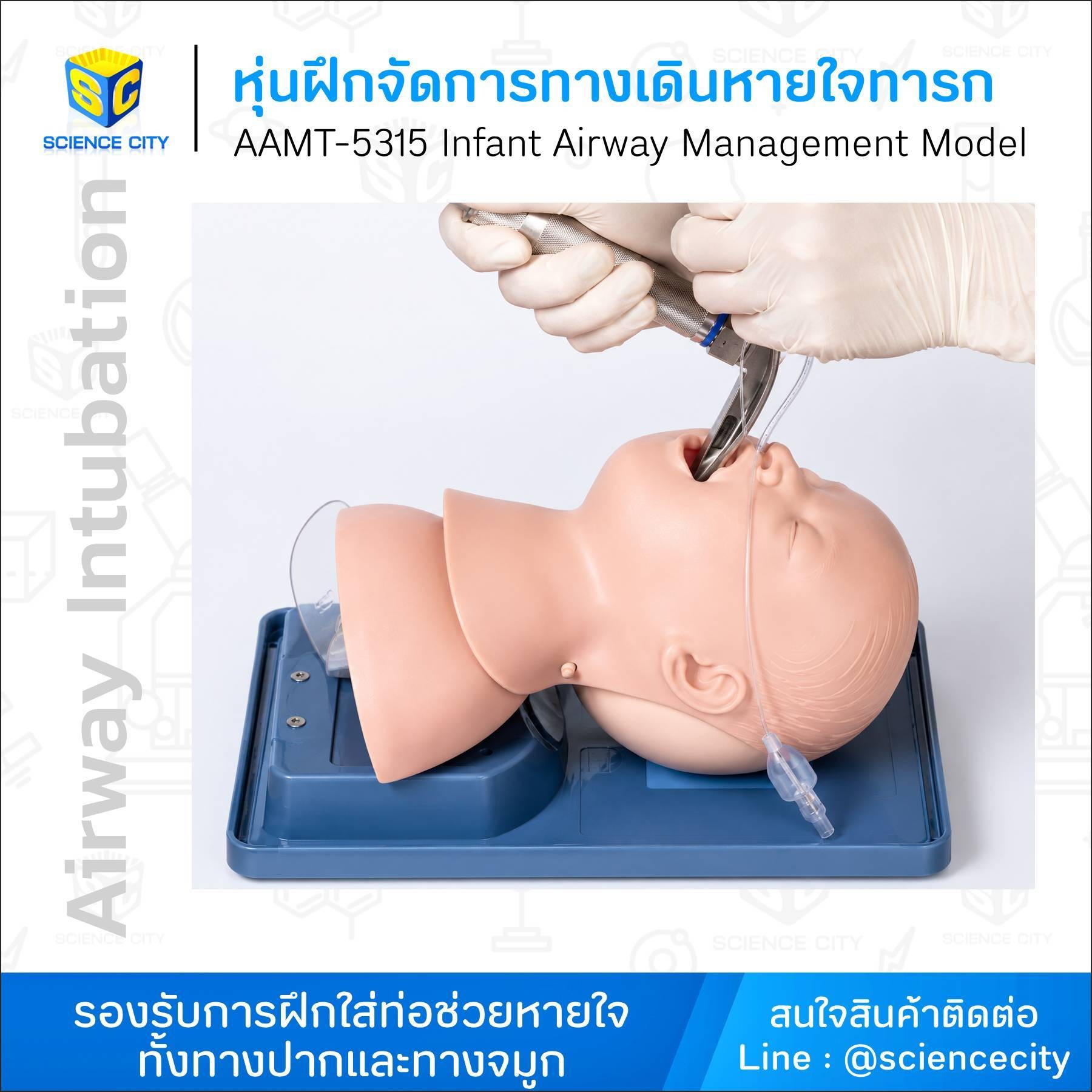 AAMT-5315หุ่นฝึกจัดการทางเดินหายใจทารกWL
