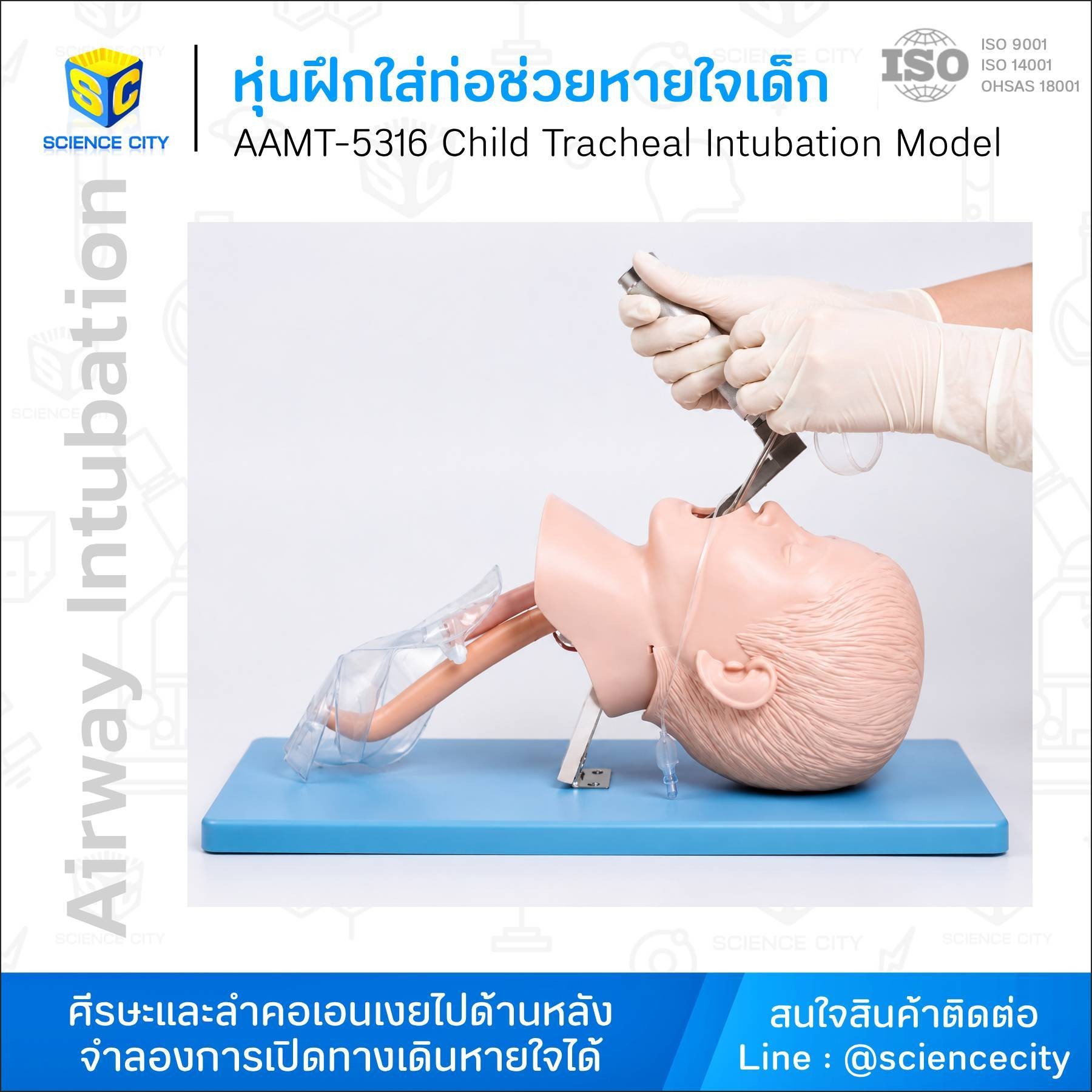 AAMT-5316หุ่นฝึกใส่ท่อช่วยหายใจเด็กWL