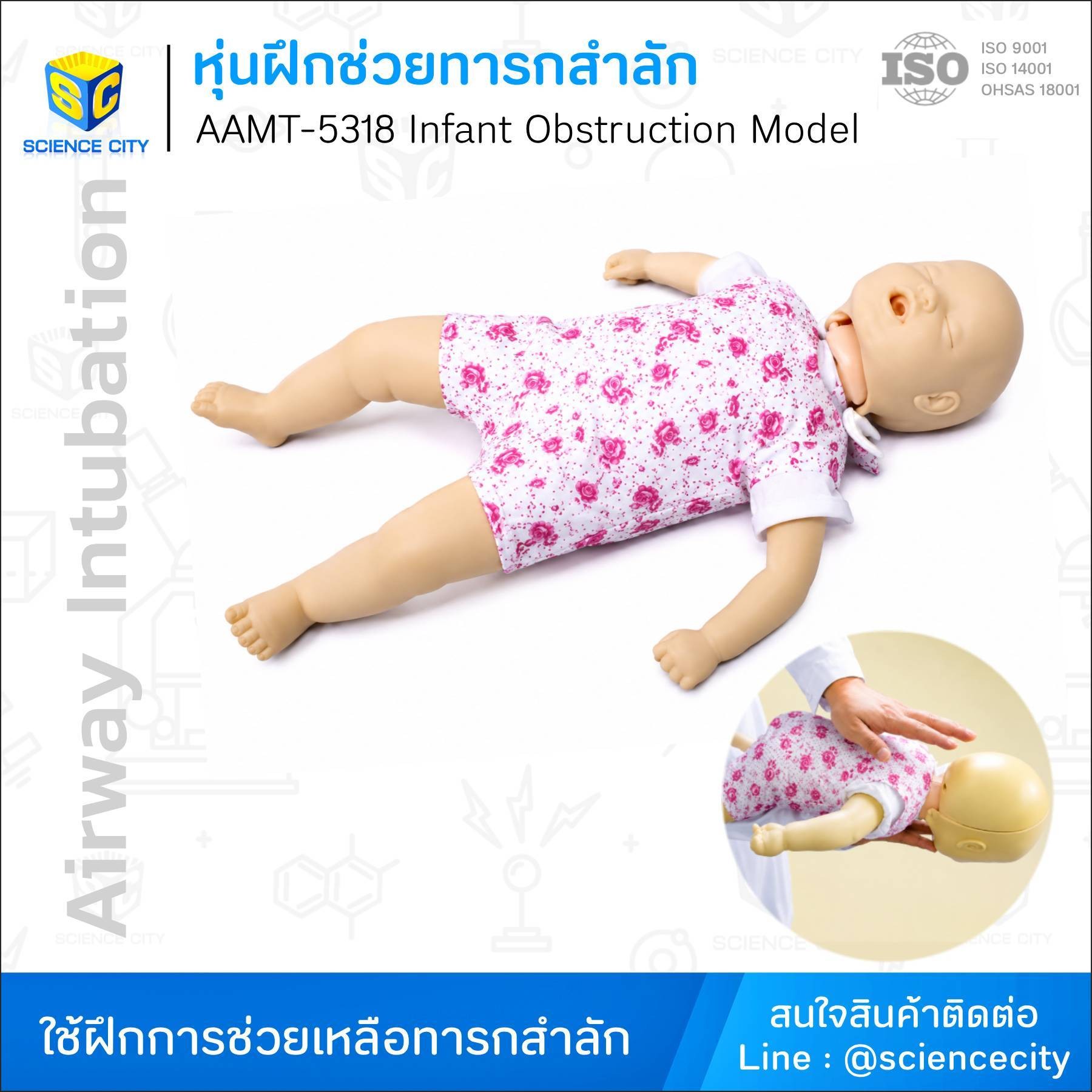 AAMT-5318หุ่นฝึกช่วยทารกสำลักWL