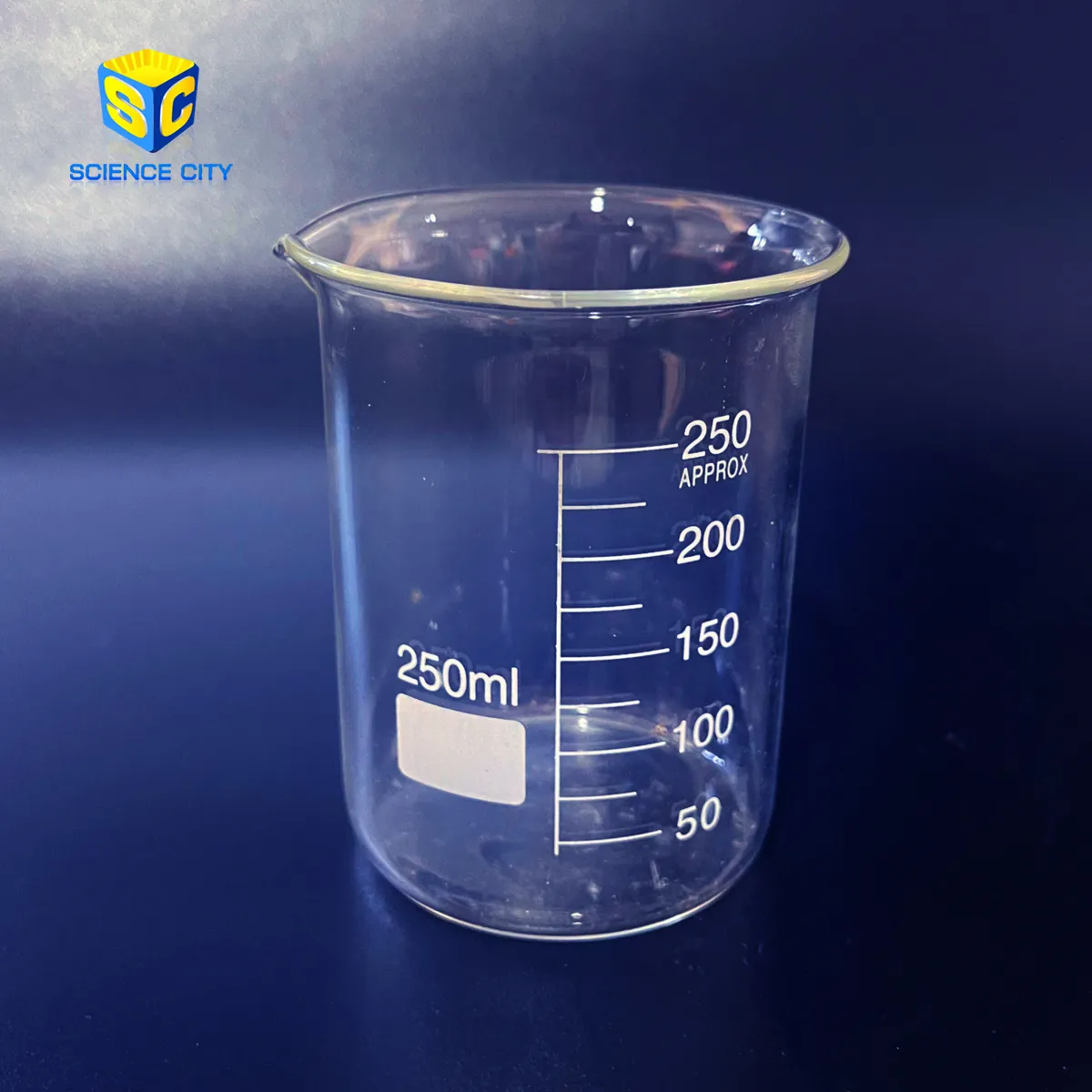 Beaker250ml