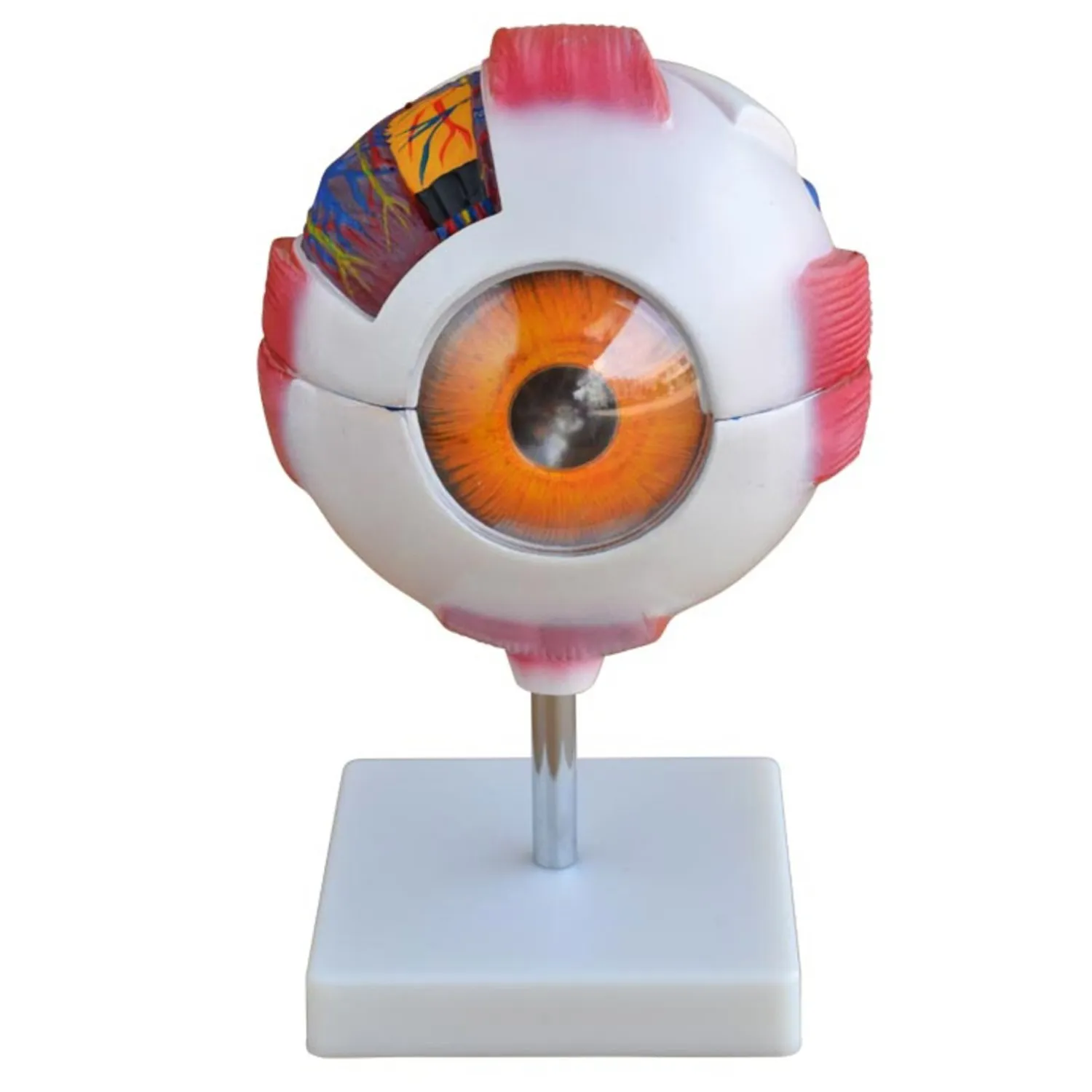 EYE-421website