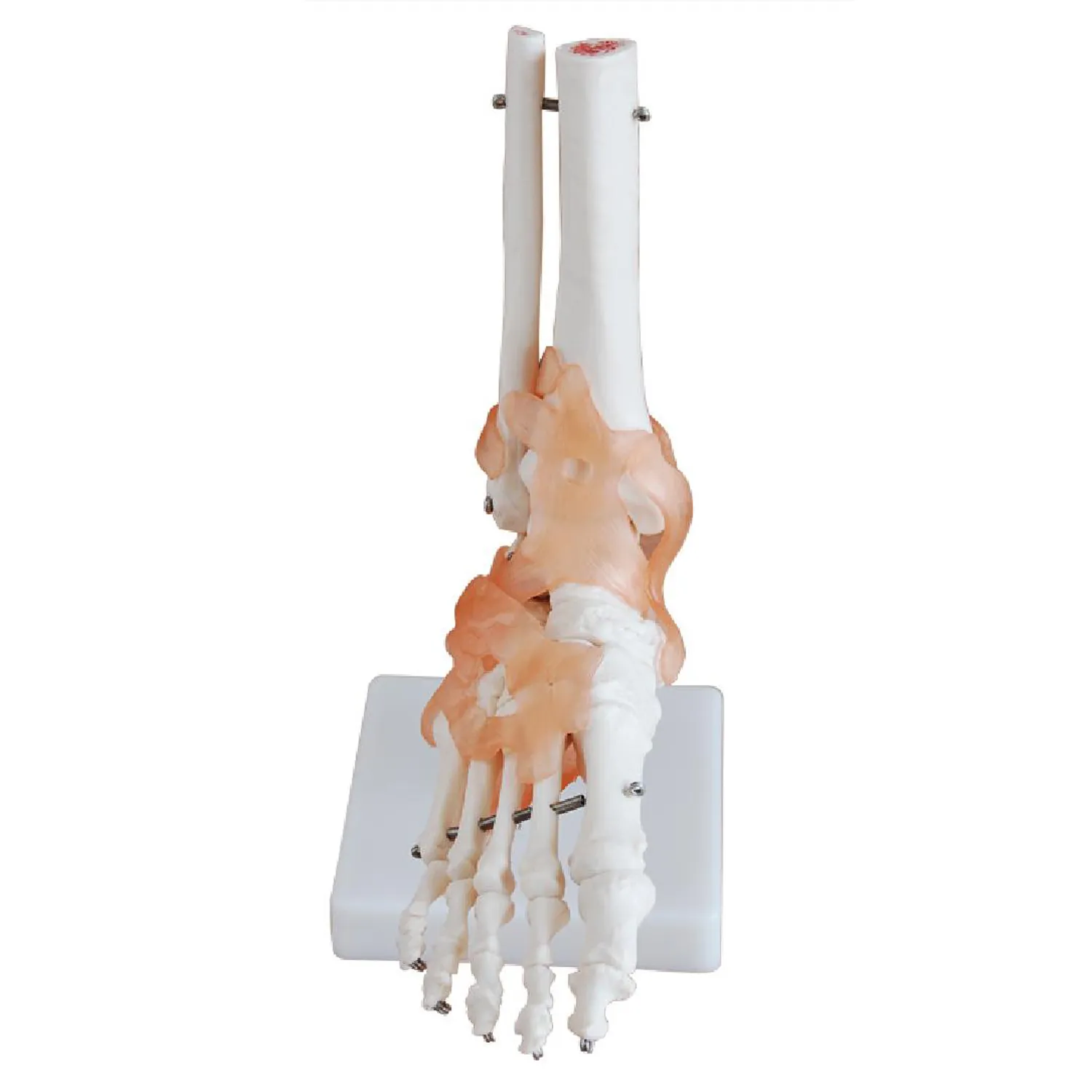 FOOT-3302