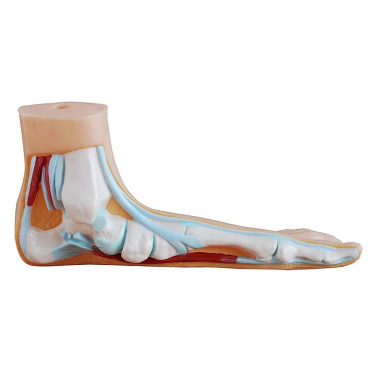 FOOT-3306F