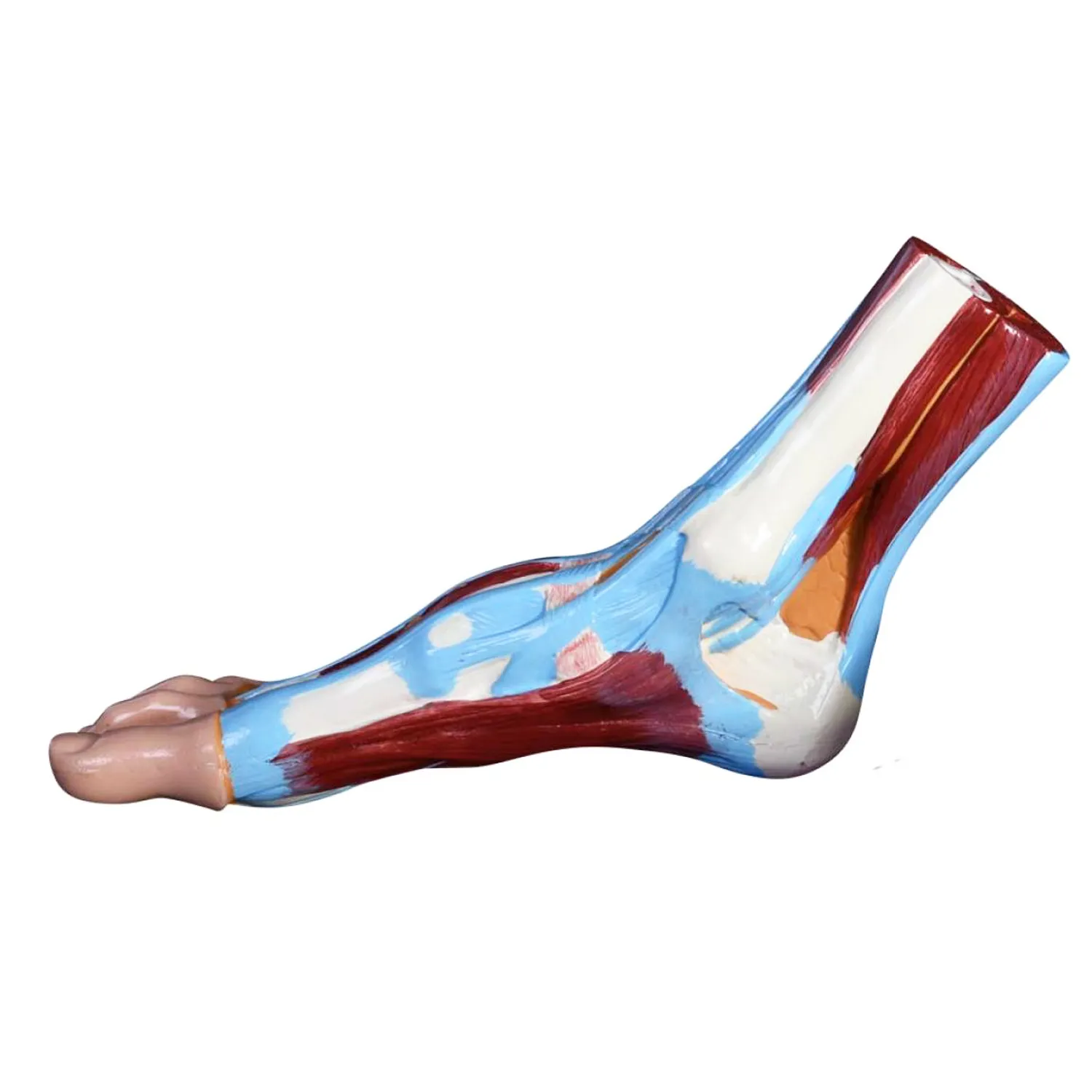 FOOT-330701