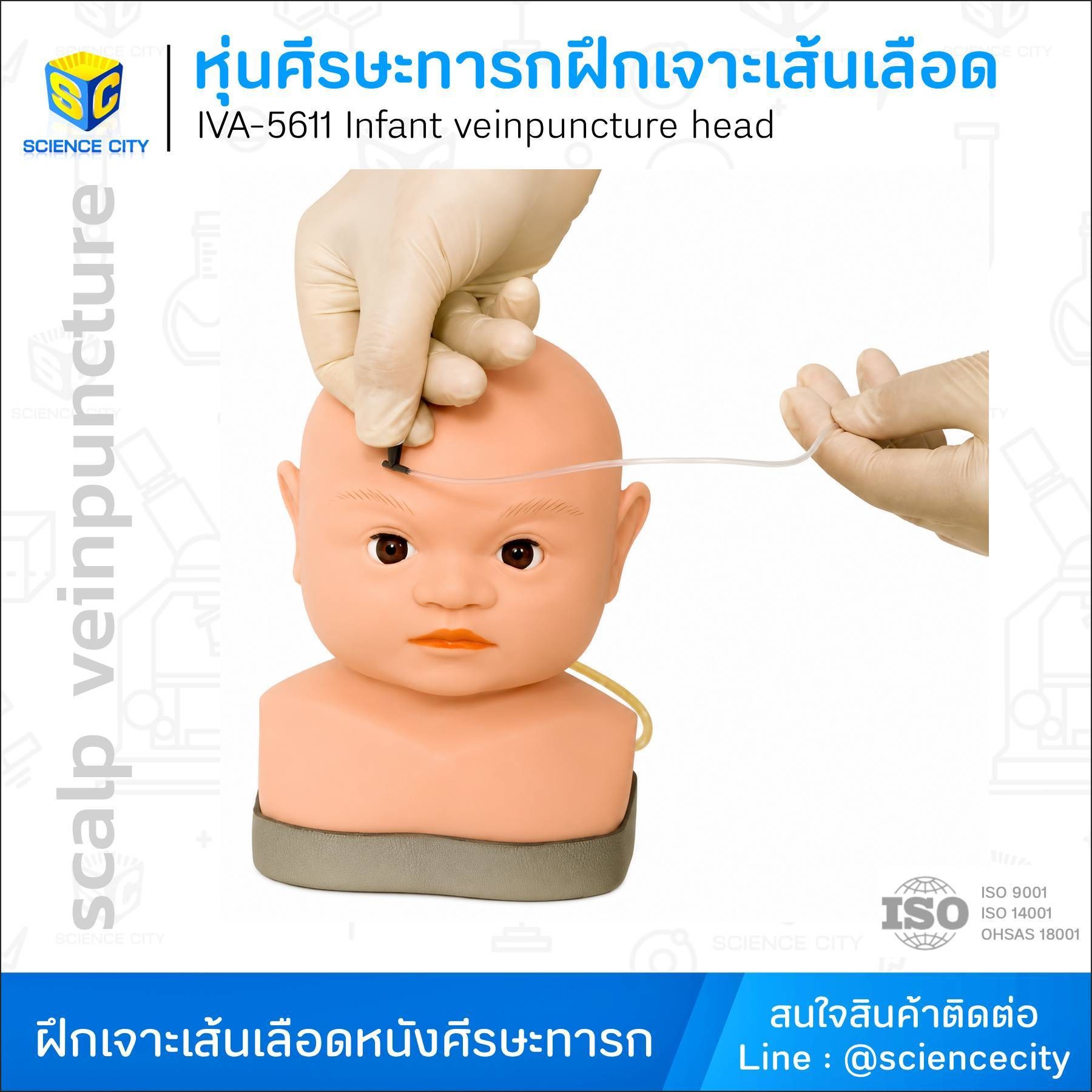 GD-HS6Fหุ่นศีรษะทารกฝึกเจาะเส้นเลือดWL