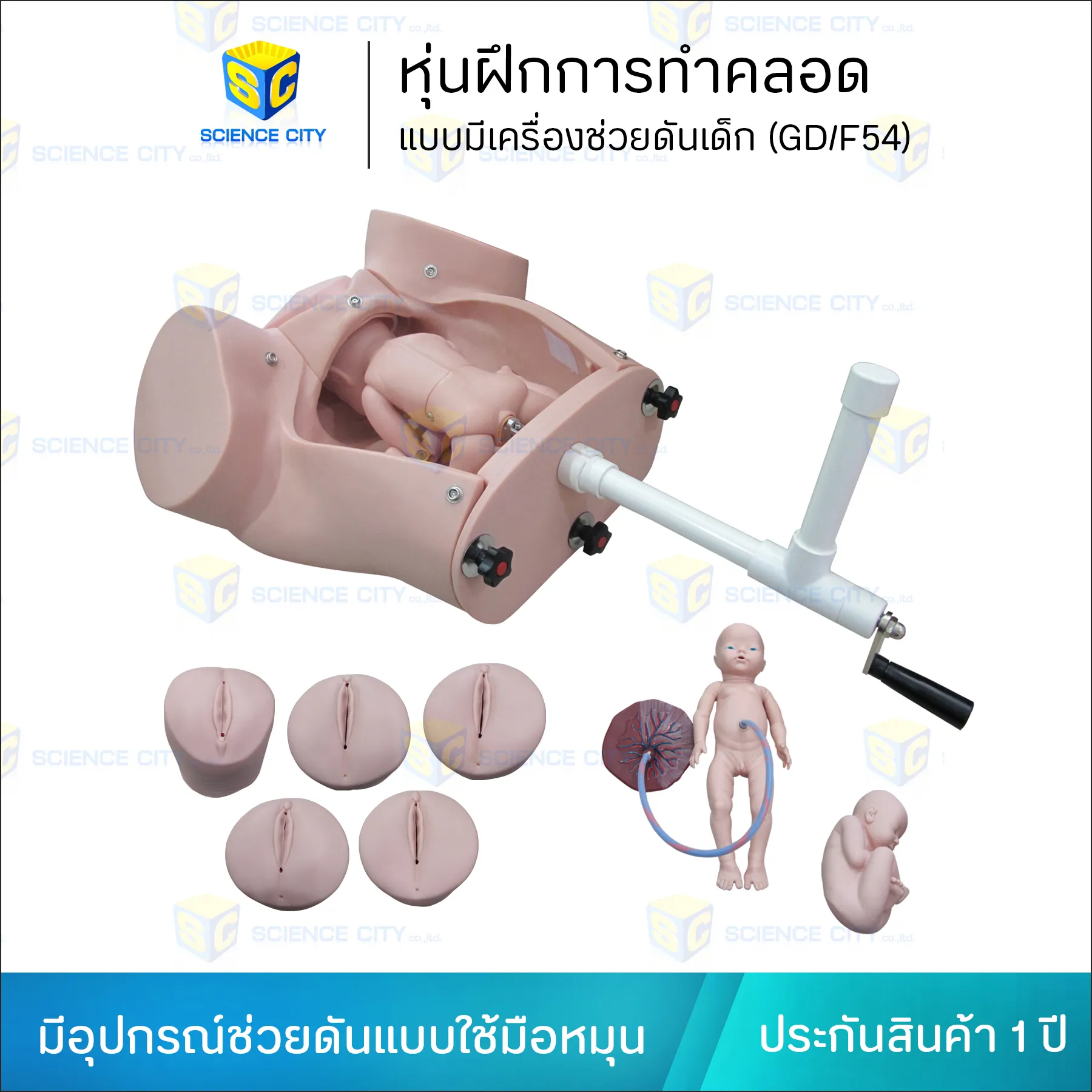 GDF54WL