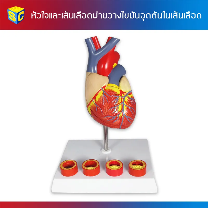 HRT-001website