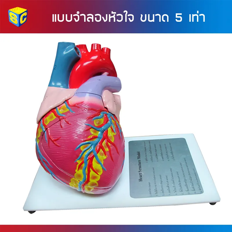 HRT-002website