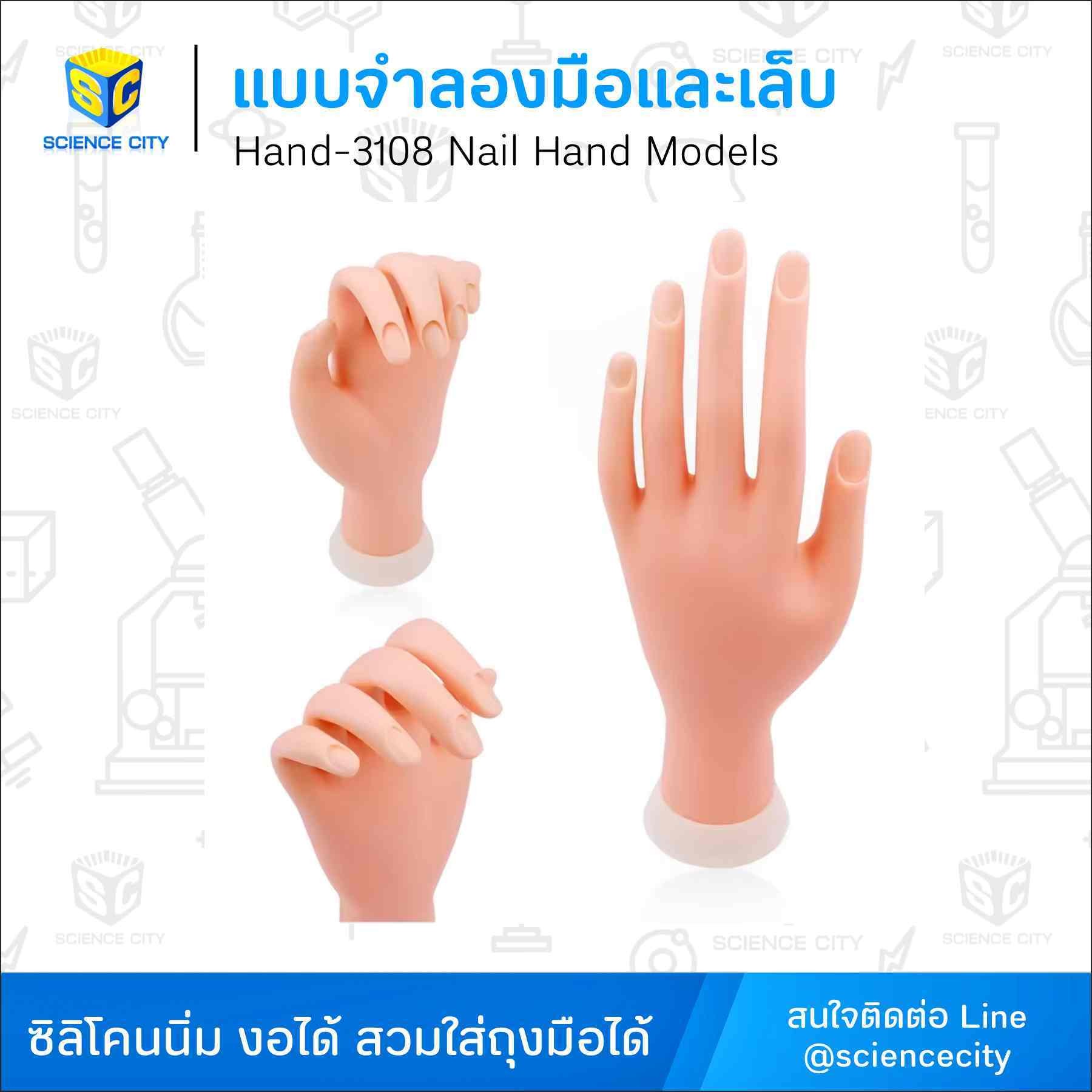 Hand-3108NailHandModelsWL