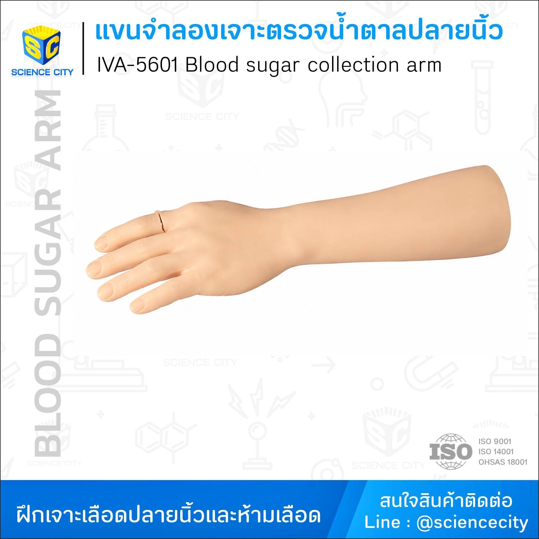 IVA-5601แขนจำลองเจาะตรวจน้ำตาลปลายนิ้วWL