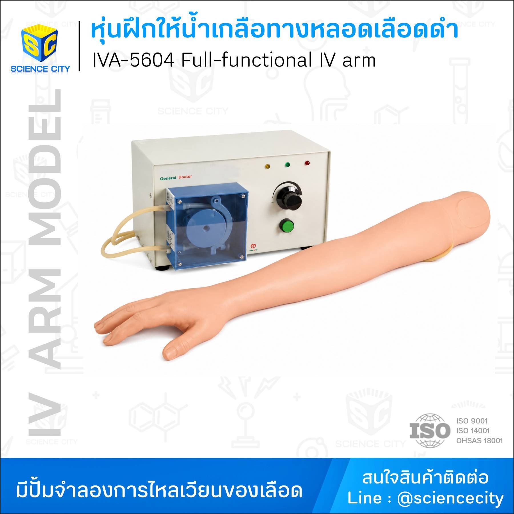 IVA-5604หุ่นฝึกให้น้ำเกลือทางหลอดเลือดดำWL