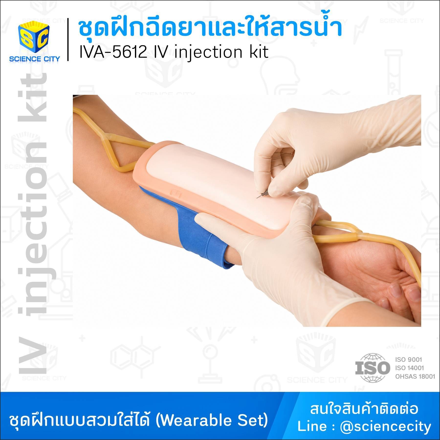 IVA-5612ชุดฝึกฉีดยาและให้สารน้ำทางหลอดเลือดดำWL