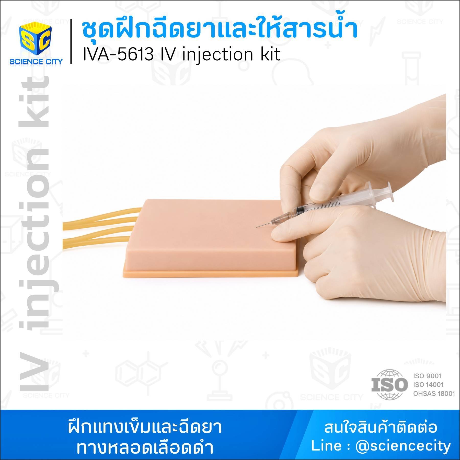 IVA-5613ชุดฝึกฉีดยาและให้สารน้ำWL