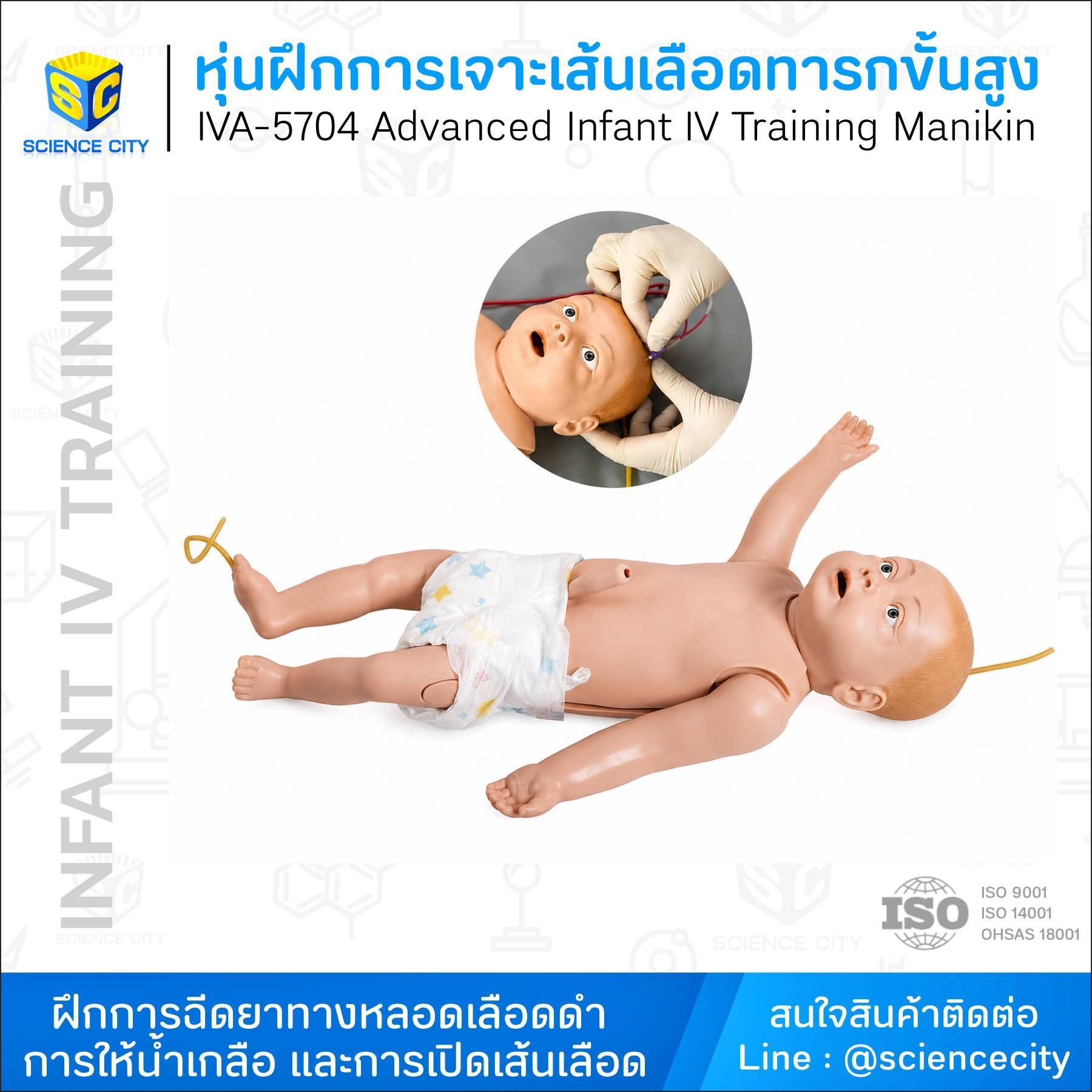 IVA-5704หุ่นฝึกการเจาะเส้นเลือดทารกขั้นสูงWL