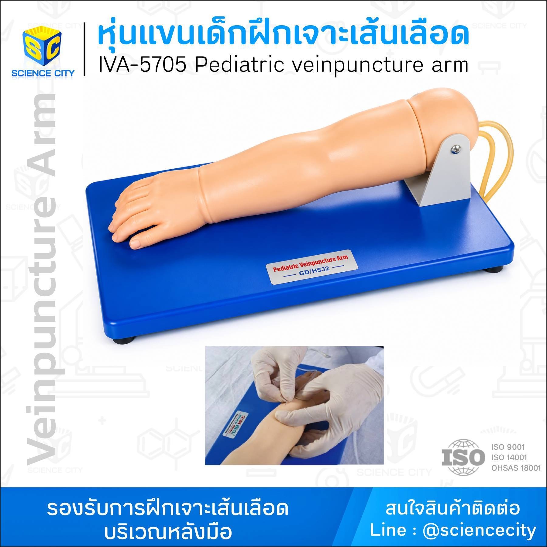 IVA-5705หุ่นแขนเด็กฝึกเจาะเส้นเลือดWL