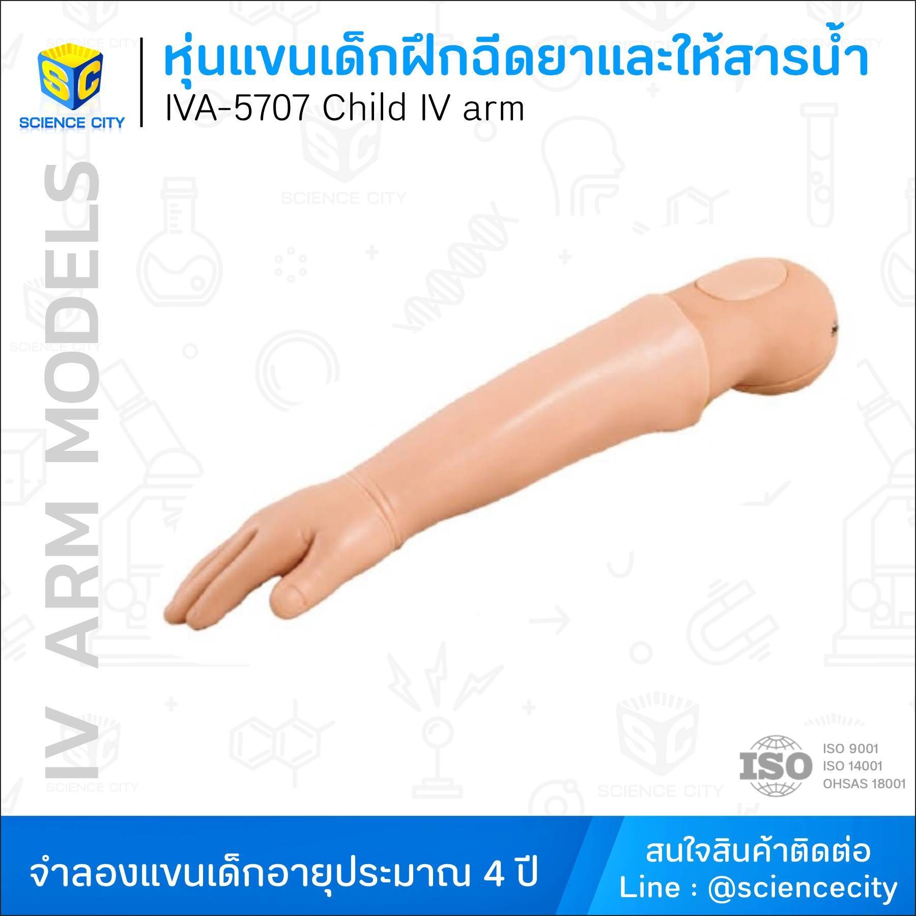 IVA-5707หุ่นแขนเด็กฝึกฉีดยาและให้สารน้ำทางหลอดเลือดดำWL