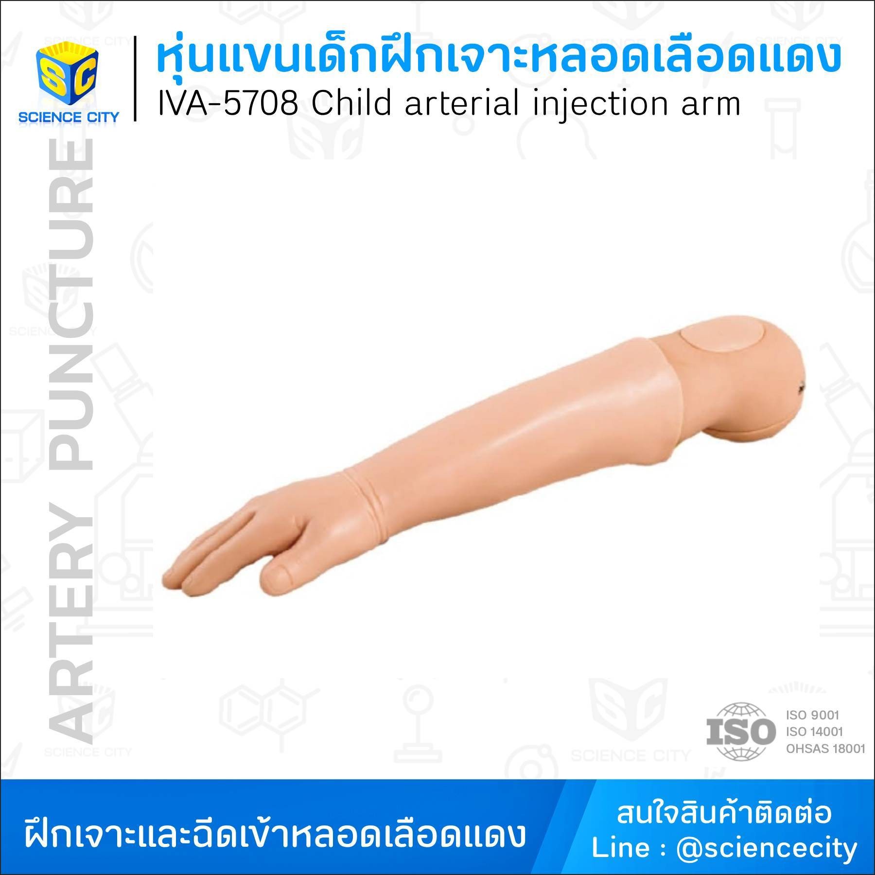 IVA-5708หุ่นแขนเด็กฝึกการเจาะเข้าหลอดเลือดแดงWL