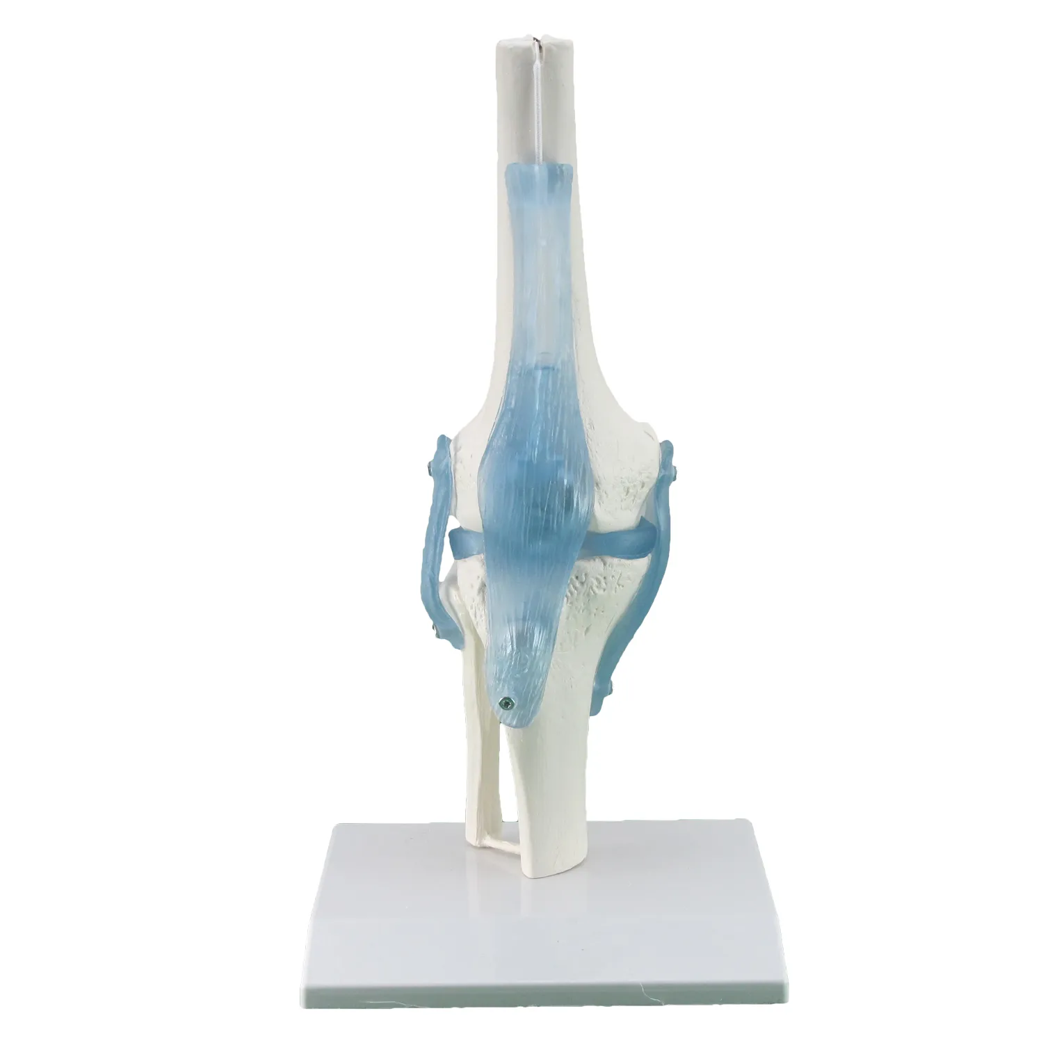 LEG-3301G