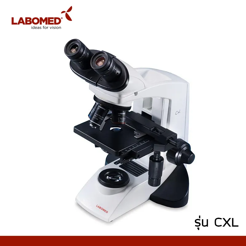 LabomedCXL