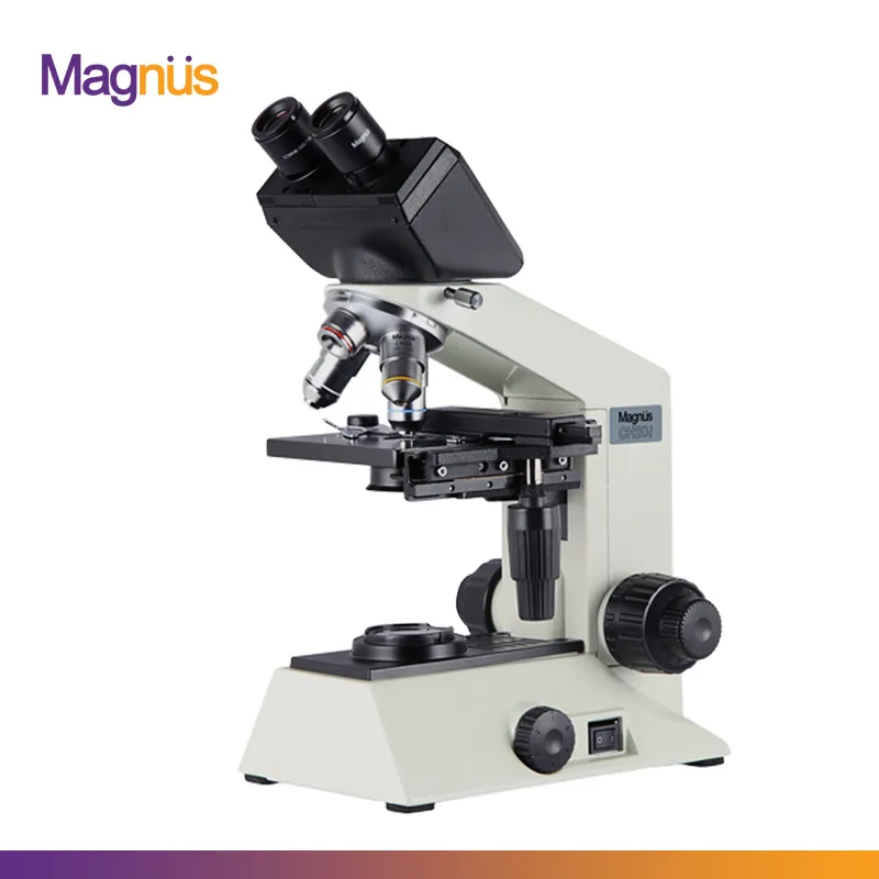 MagnusCH20i02