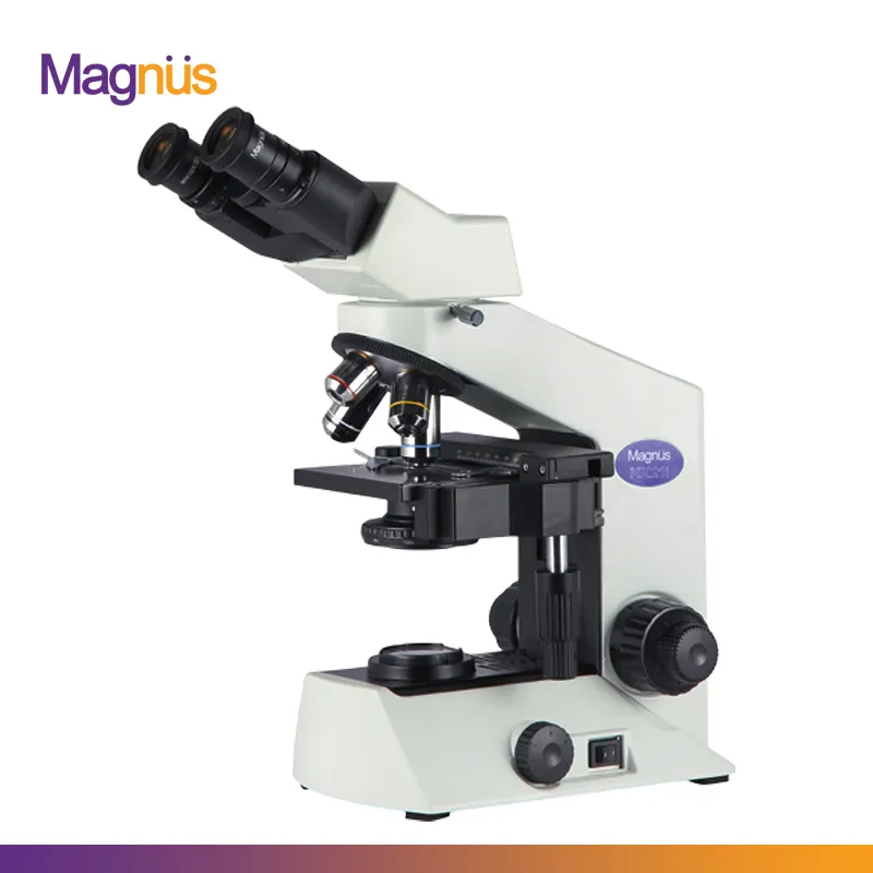 MagnusMX21i2