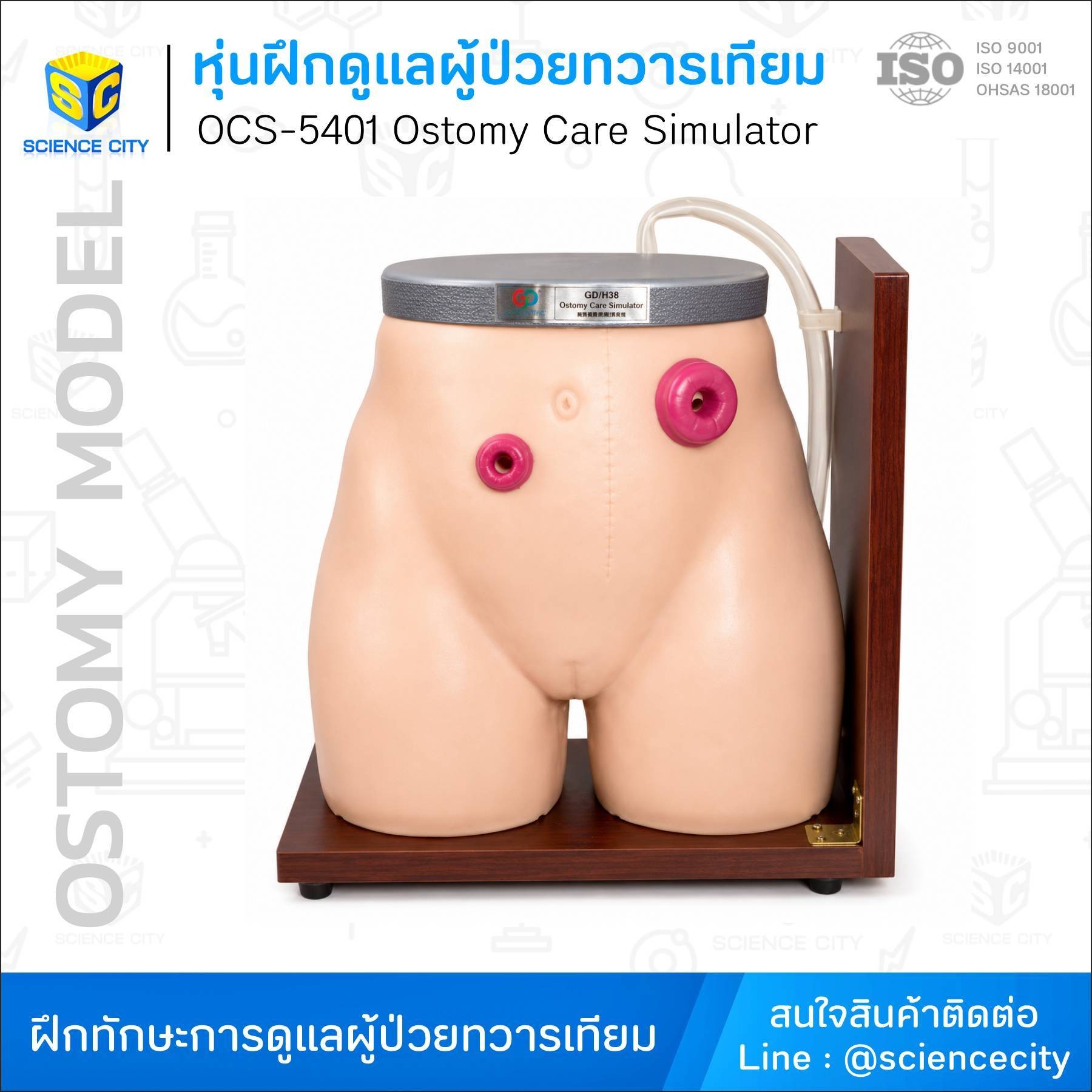 OCS-5401หุ่นฝึกดูแลผู้ป่วยทวารเทียมWL