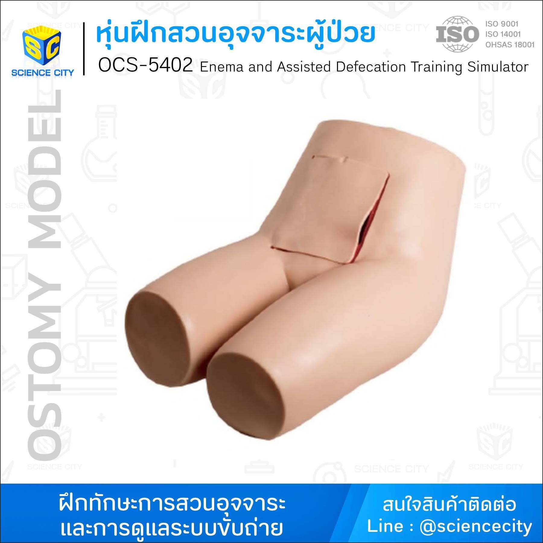 OCS-5402หุ่นฝึกสวนอุจจาระผู้ป่วยWL