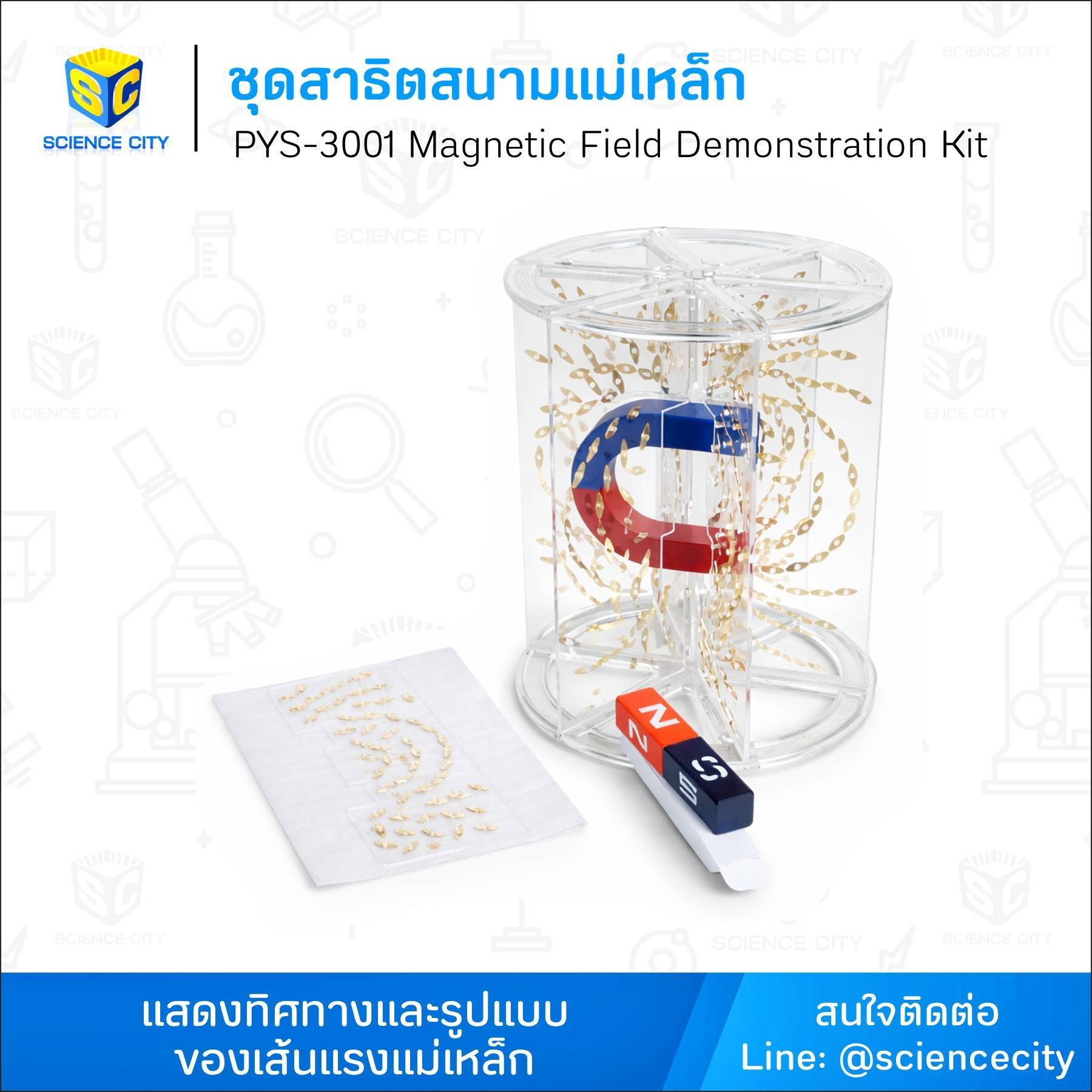 PYS-3001ชุดสาธิตสนามแม่เหล็กWL
