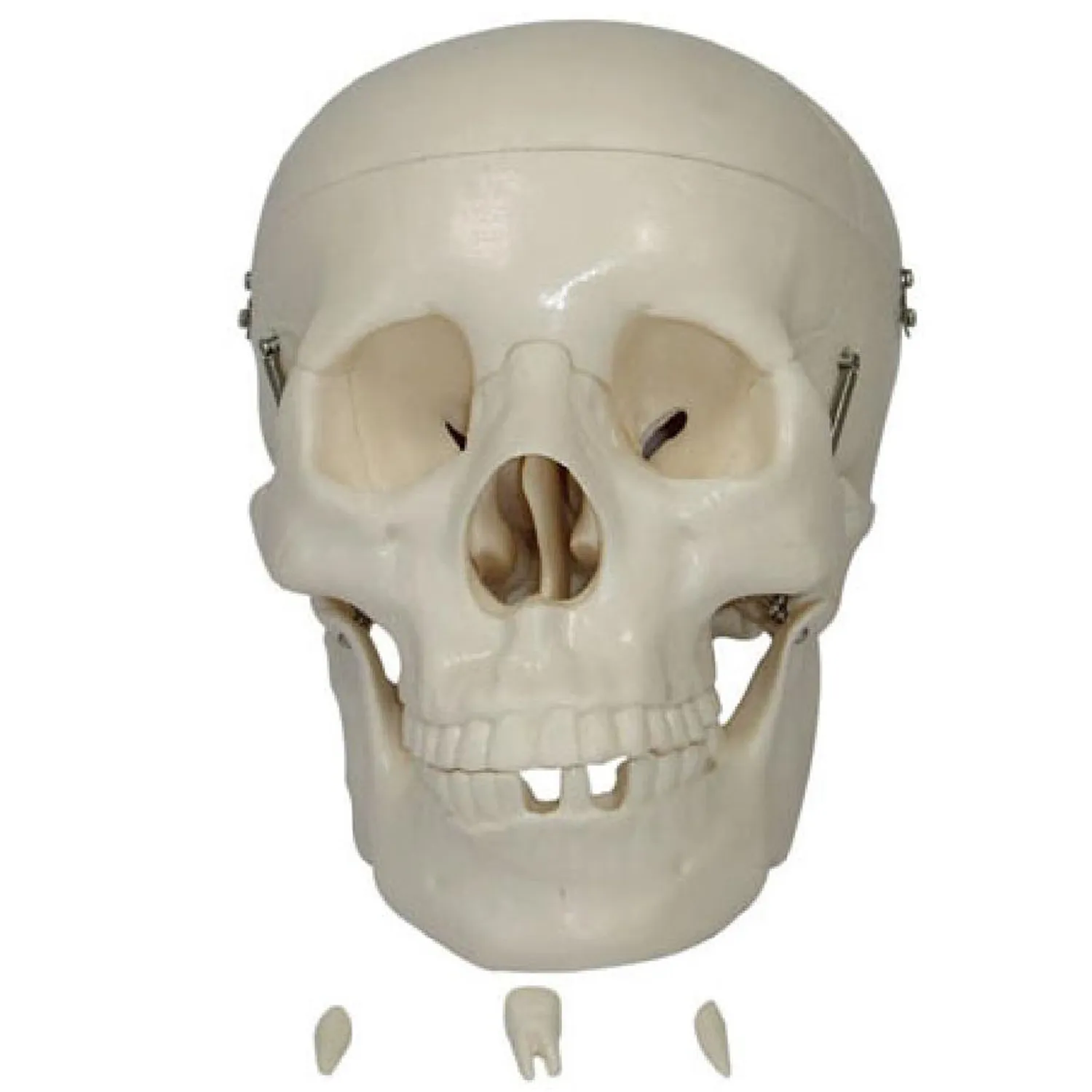 SK-801Website2