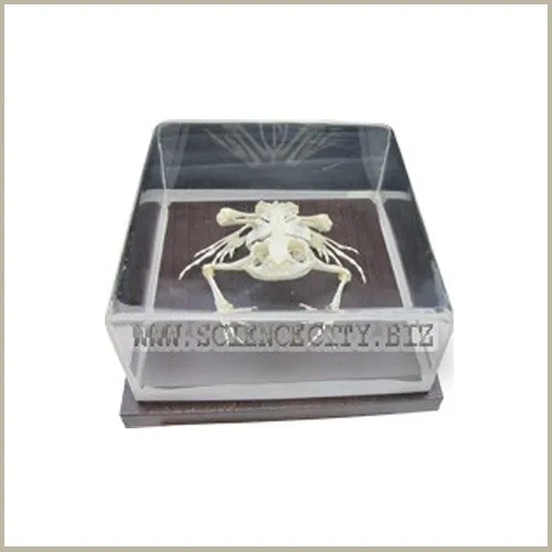iTopPlus292088617225