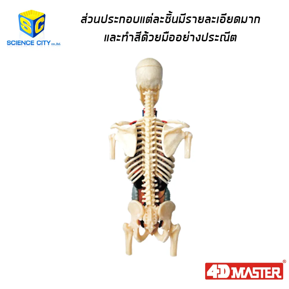 ตั้งครรภ์03