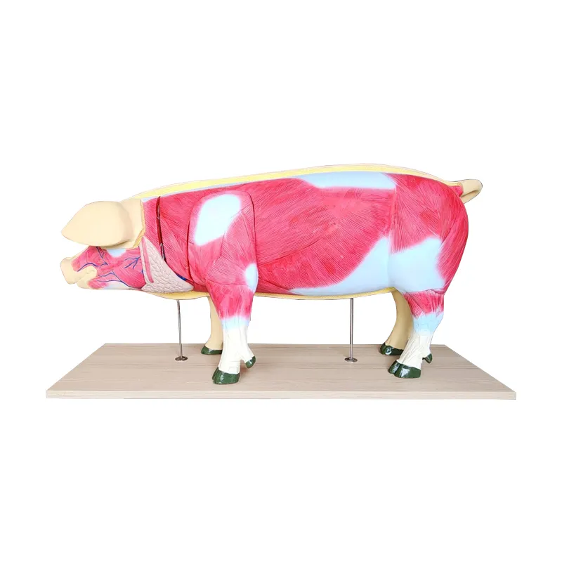 หมูเครื่องใน
