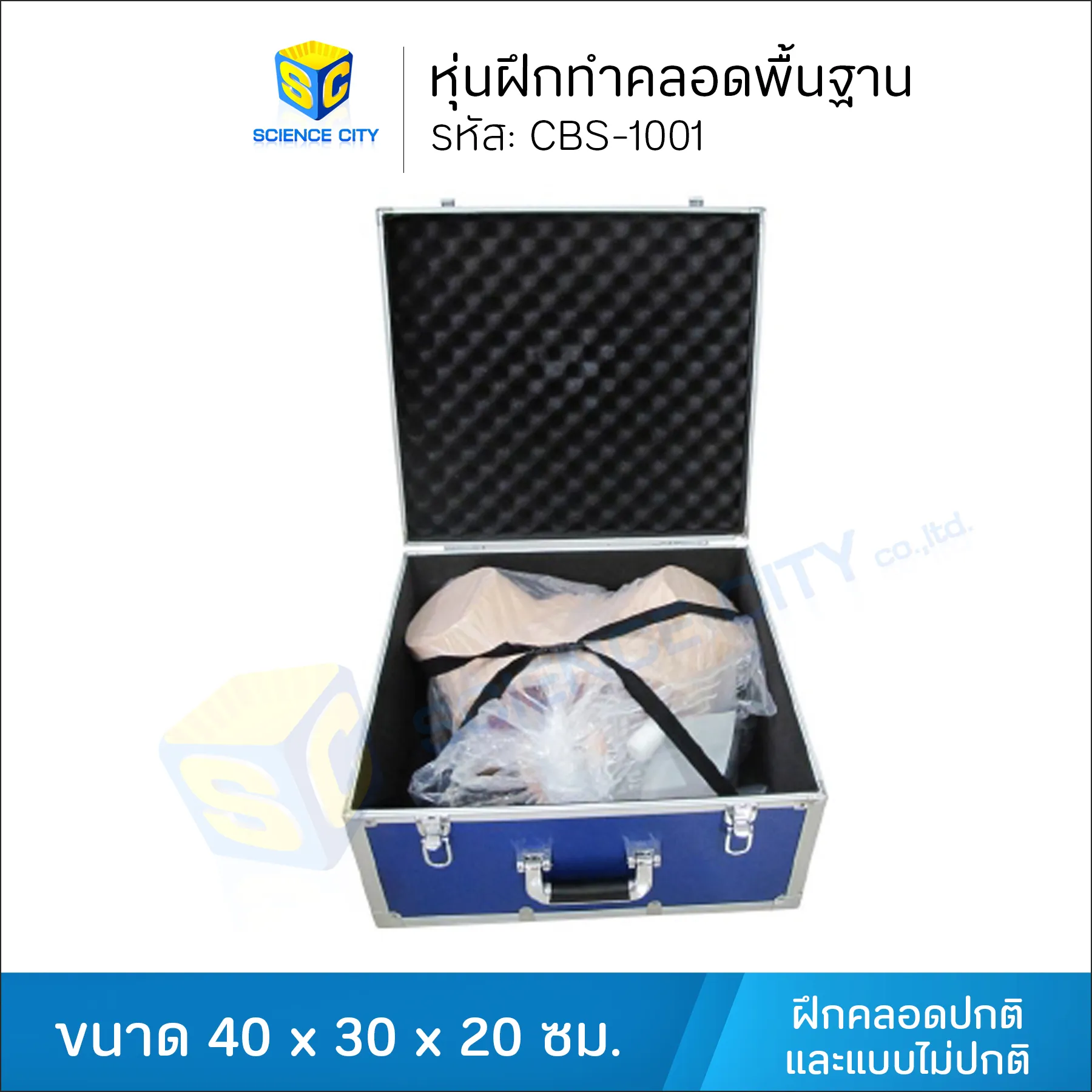 หุ่นฝึกทำคลอดพื้นฐานCBS-1001(2)